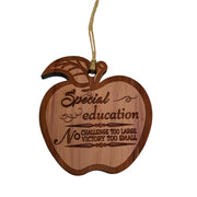 Special Education Ornament - Raw Cedar Ornament